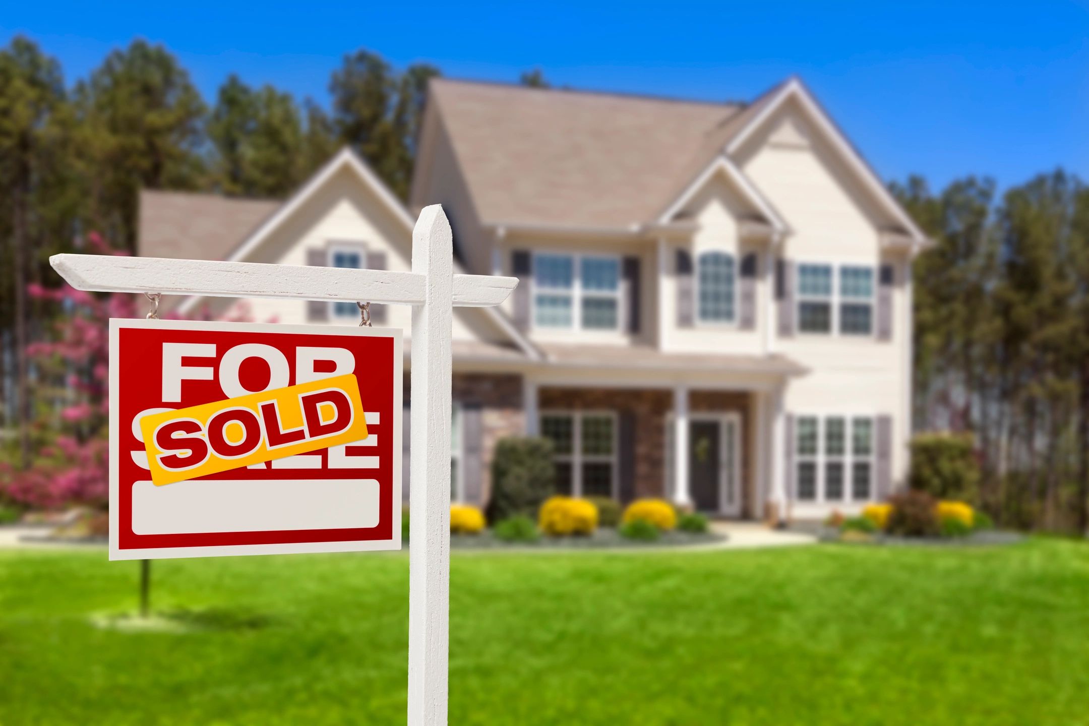 9 Reasons Why Every Home Buyer Should Choose A Professional